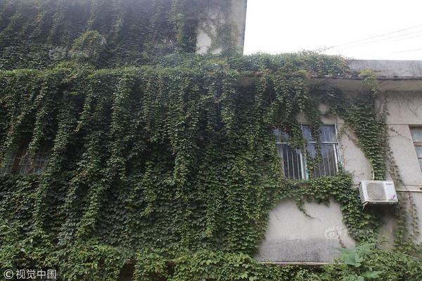 影视作品中万人迷反派为何更吸睛？如何塑造有魅力反派？