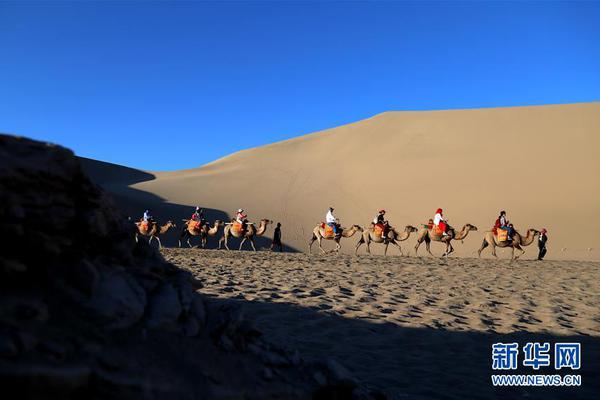 《海贼王第890集》在线观看