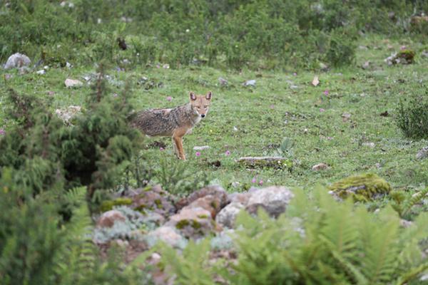 免费漫画阅站官方正版：无广告弹窗，全网漫画免费看