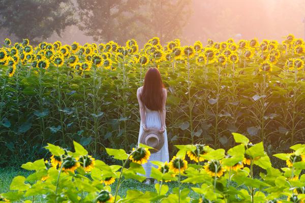 全职法师漫画免费阅读友