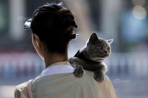 6漫画免费下拉式斗罗大陆