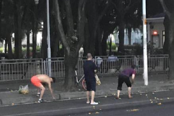 《海贼王第890集》在线观看