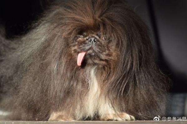 免费在线可阅读漫画成首选，却面临凯发k8国际首页登录的版权等难题待剖析？