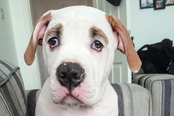 笔趣阁手机版：优质小说阅读软件，类型全且可自由查找