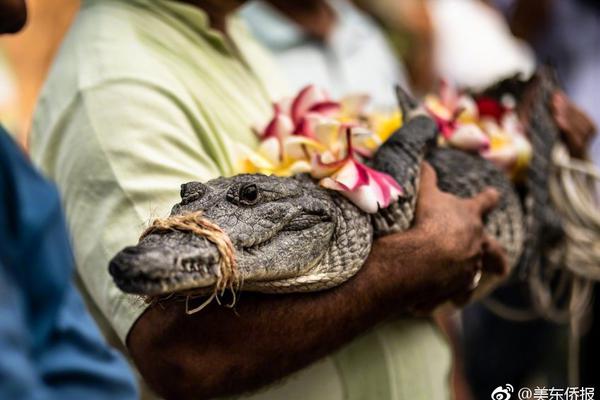 备受关注的死神230模型，设计与工艺究竟有多出色？