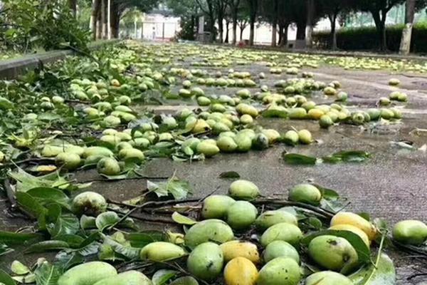 阅站漫画app最新版：免费搜索全网漫画，畅享多种便捷阅读体验