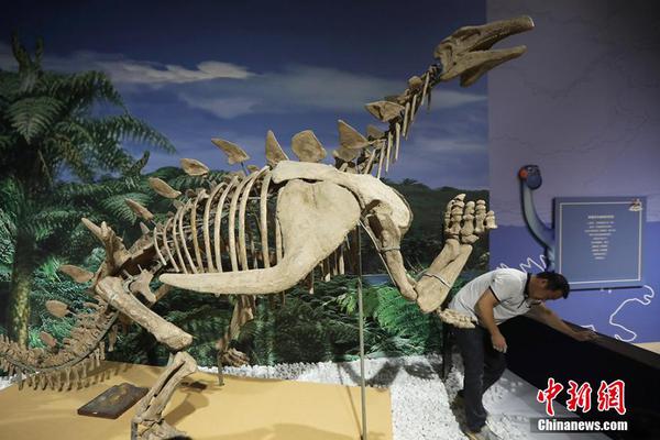 异世界搞笑冒险番为何吸引人？独特设定与反差角色是关键