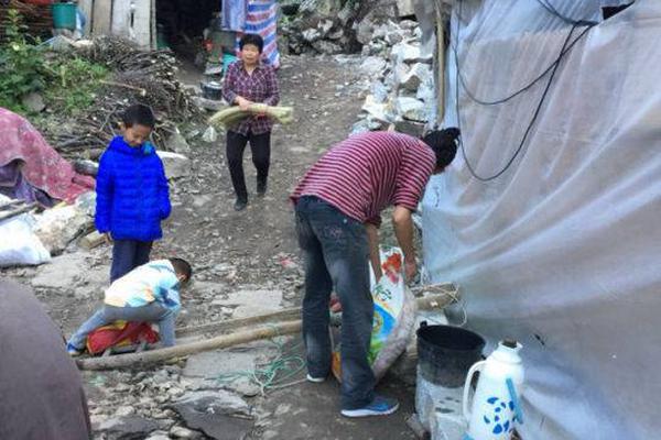 终极斗罗在哪个软件看