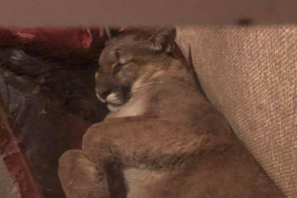 影视作品中万人迷反派为何更吸睛？如何塑造有魅力反派？