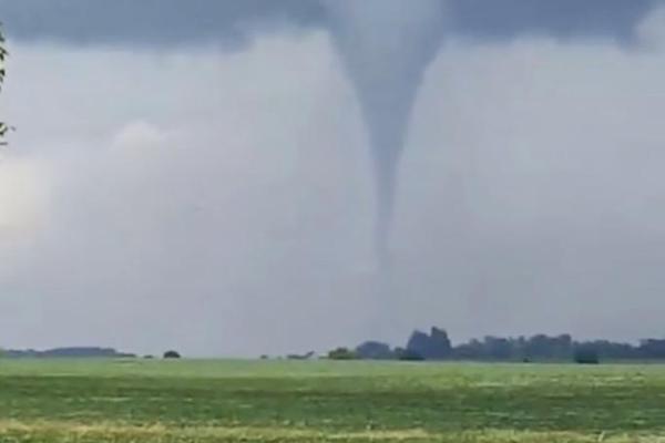 数字阅读普及下，韩漫免费观看的凯发k8国际首页登录的版权风险与安全提示