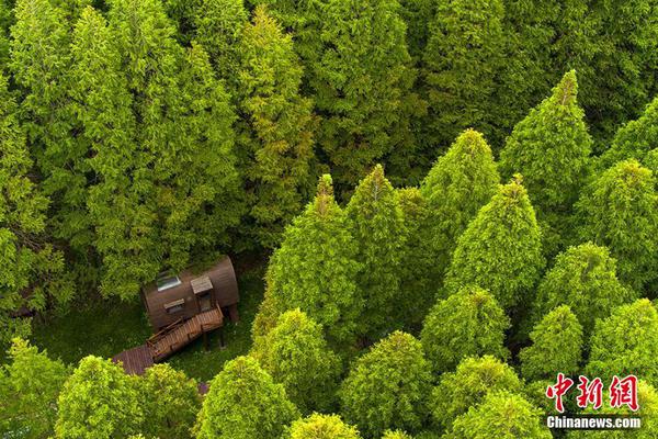 缘之空借兄妹情纠葛引发思索，为何对兄妹恋情描绘引争议？