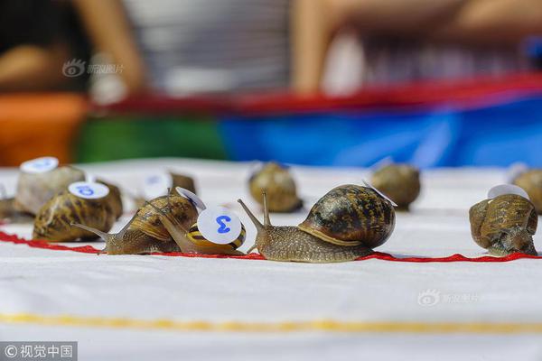 阅站漫画app最新版：免费搜索全网漫画，畅享多种便捷阅读体验