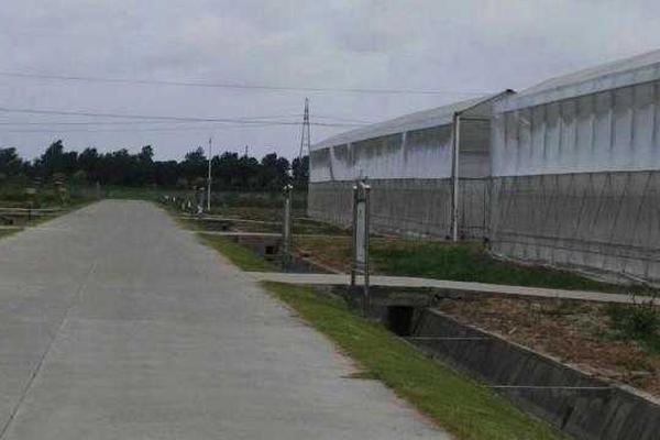 斗破苍穹老粉必看!正版免费观看渠道及支持正版的意义