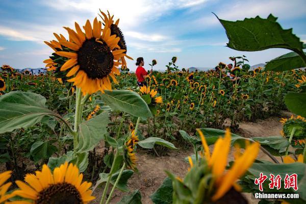 斗破苍穹老粉必看！正版免费观看渠道及支持正版的意义