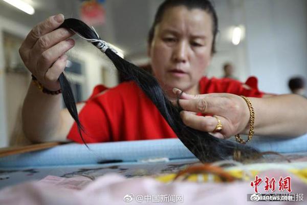 《海贼王第890集》在线观看