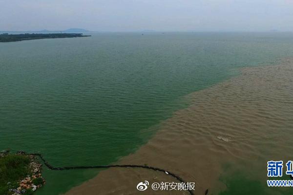 备受关注的死神230模型,设计与工艺究竟有多出色?