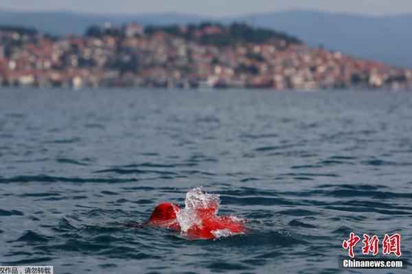 《蓝翅》漫画免费阅读