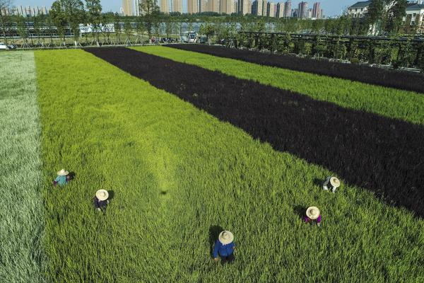 免费漫画阅站官方正版：无广告弹窗，全网漫画免费看