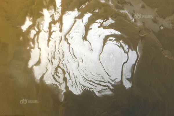 异世界搞笑冒险番为何吸引人？独特设定与反差角色是关键