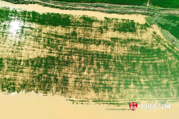 阅站漫画：资源丰富更新快，免费福利多，阅读体验超棒