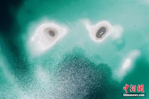 漫画体育老师 作文