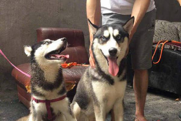 《海贼王第890集》在线观看