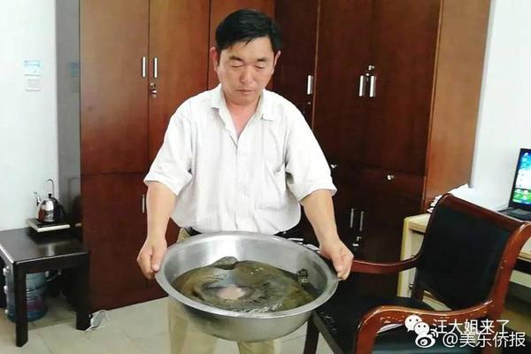 哔哩哔哩隐藏内容怎么找？特殊标签与搜索技巧是关键