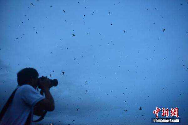 逃离恶魔岛监狱 电影