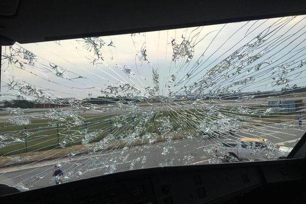 免费漫画阅站官方正版：无广告弹窗，全网漫画免费看