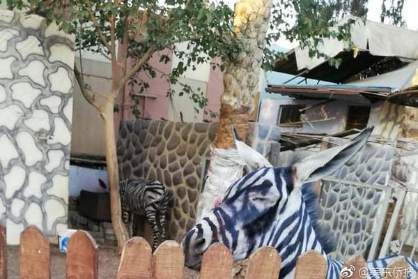 免费漫画阅站app下载安装无广告，畅享丰富漫画资源