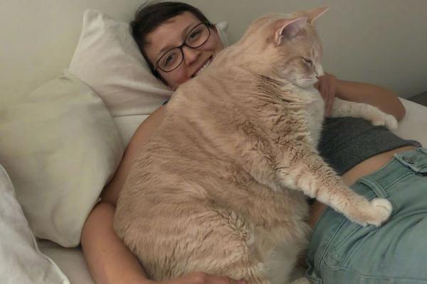 同人：约会大作战datealive ex章节（3） ast存亡战 第一节