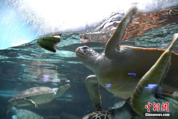 阅站漫画app最新版：免费搜索全网漫画，畅享多种便捷阅读体验