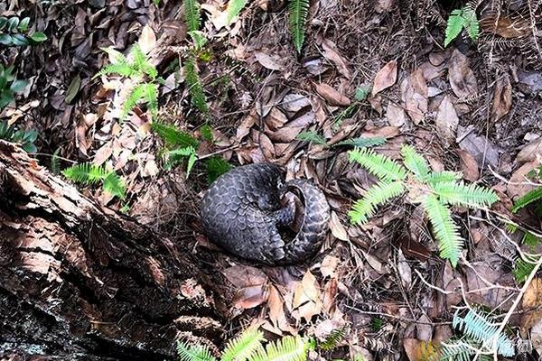 datealive 地铁逃生回归！biubiu免费加速，畅玩海量海内外精品手游