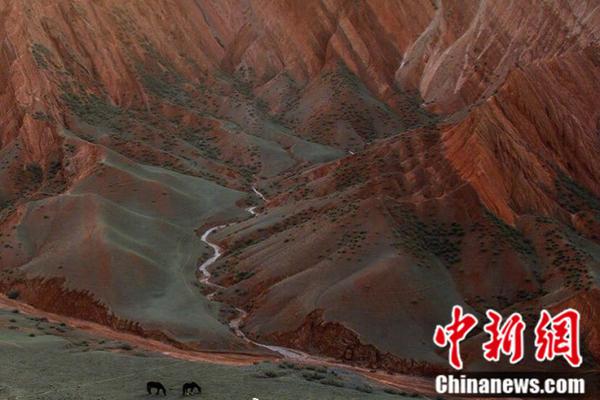 免费漫画下拉版酷漫屋