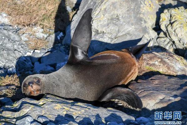 《轮到你了》樱花动漫