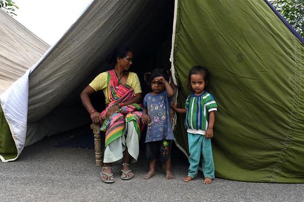 《海贼王第890集》在线观看