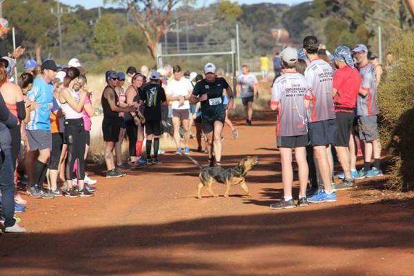 网络文学爱好者必读！新笔趣阁现状及使用建议大揭秘？