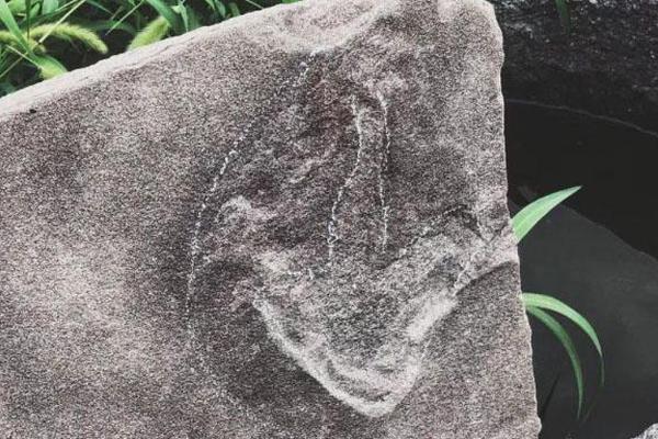 异世界搞笑冒险番为何吸引人？独特设定与反差角色是关键