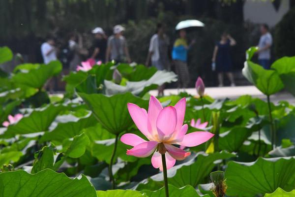 弱点漫画在线观看