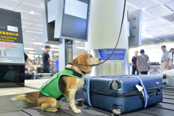 同人：约会大作战datealive ex章节（3） ast存亡战 第一节