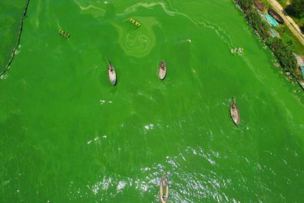 风起苍岚漫画下拉式漫画