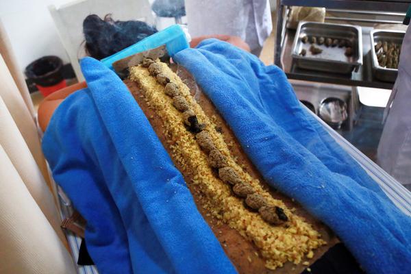 阅站漫画app最新版:免费搜索全网漫画,畅享多种便捷阅读体验