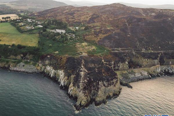 我在矿山做大佬透视异瞳