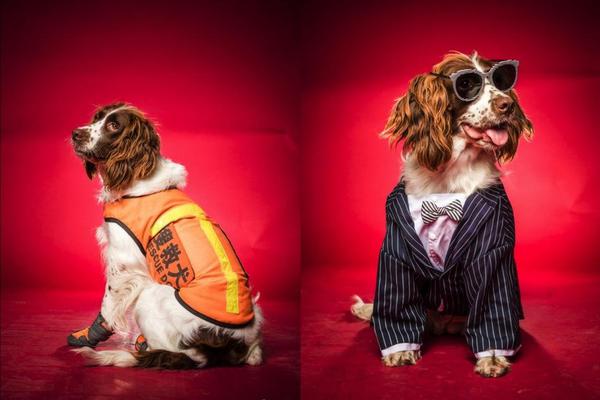 缘之空借兄妹情纠葛引发思索，为何对兄妹恋情描绘引争议？