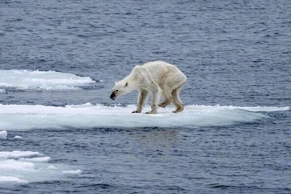 小丑女漫画头像