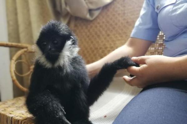 斗罗大陆下拉式无广告