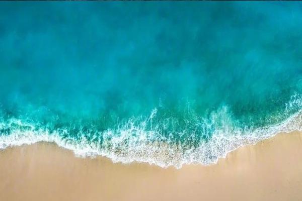 从末世崛起漫画土豪