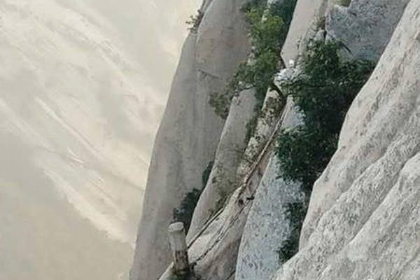 凤临天下王妃十三发6漫画