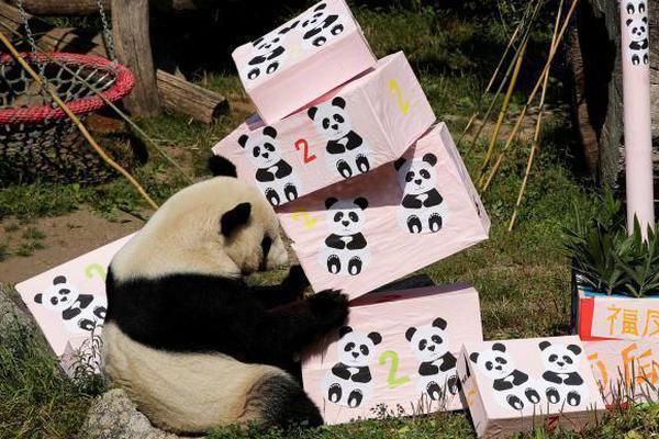 阅站漫画：资源丰富更新快，免费福利多，阅读体验超棒