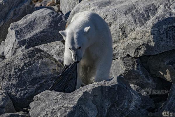 阅站漫画app最新版：免费搜索全网漫画，畅享多种便捷阅读体验